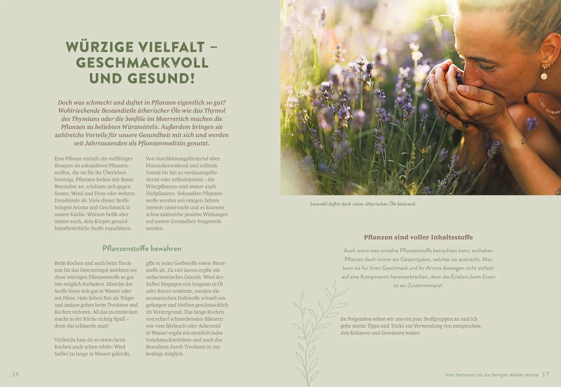 Bild: 9783818626969 | Wilde Würze | Christine Knauft | Taschenbuch | 144 S. | Deutsch | 2026
