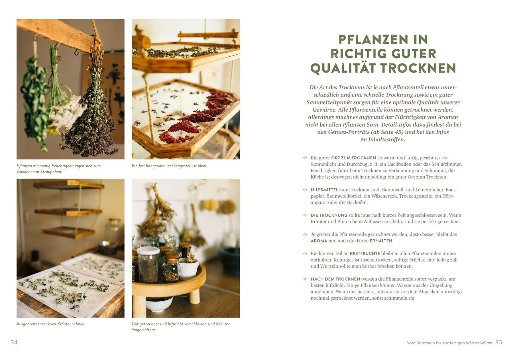 Bild: 9783818626969 | Wilde Würze | Christine Knauft | Taschenbuch | 144 S. | Deutsch | 2026