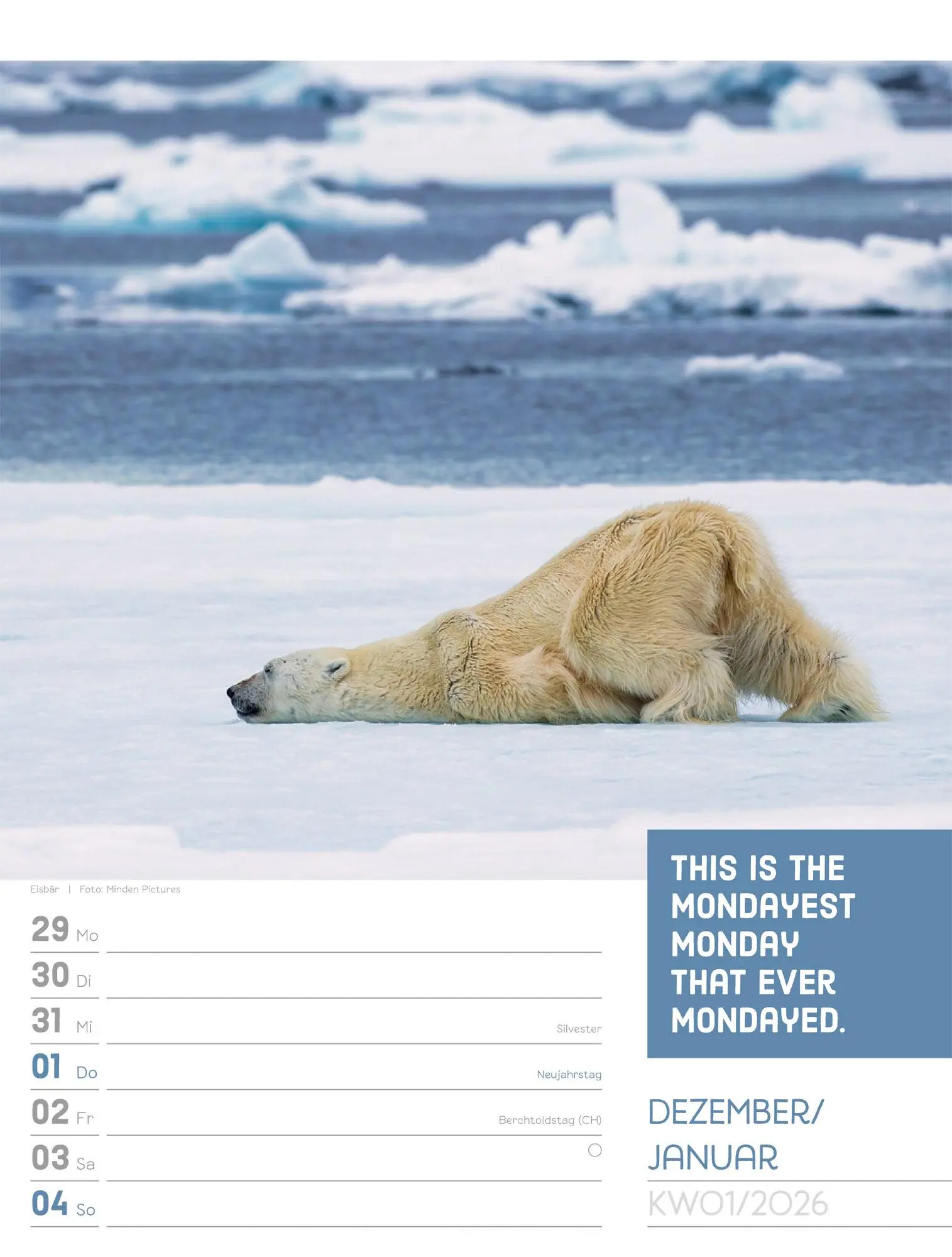 Bild: 9783838426969 | Tierisch! Sprüchekalender - Wochenplaner Kalender 2026 | GmbH | 56 S.