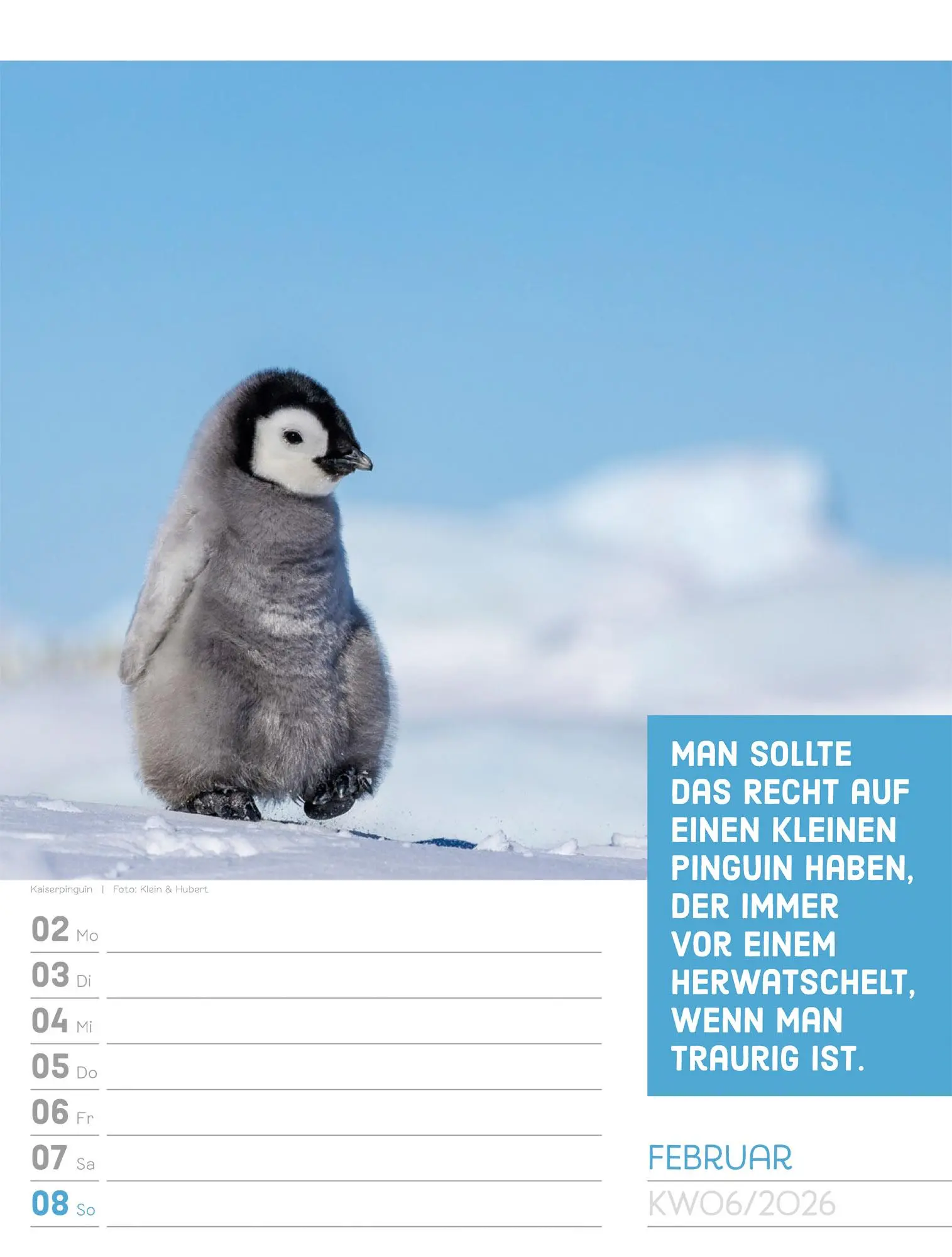 Bild: 9783838426969 | Tierisch! Sprüchekalender - Wochenplaner Kalender 2026 | GmbH | 56 S.