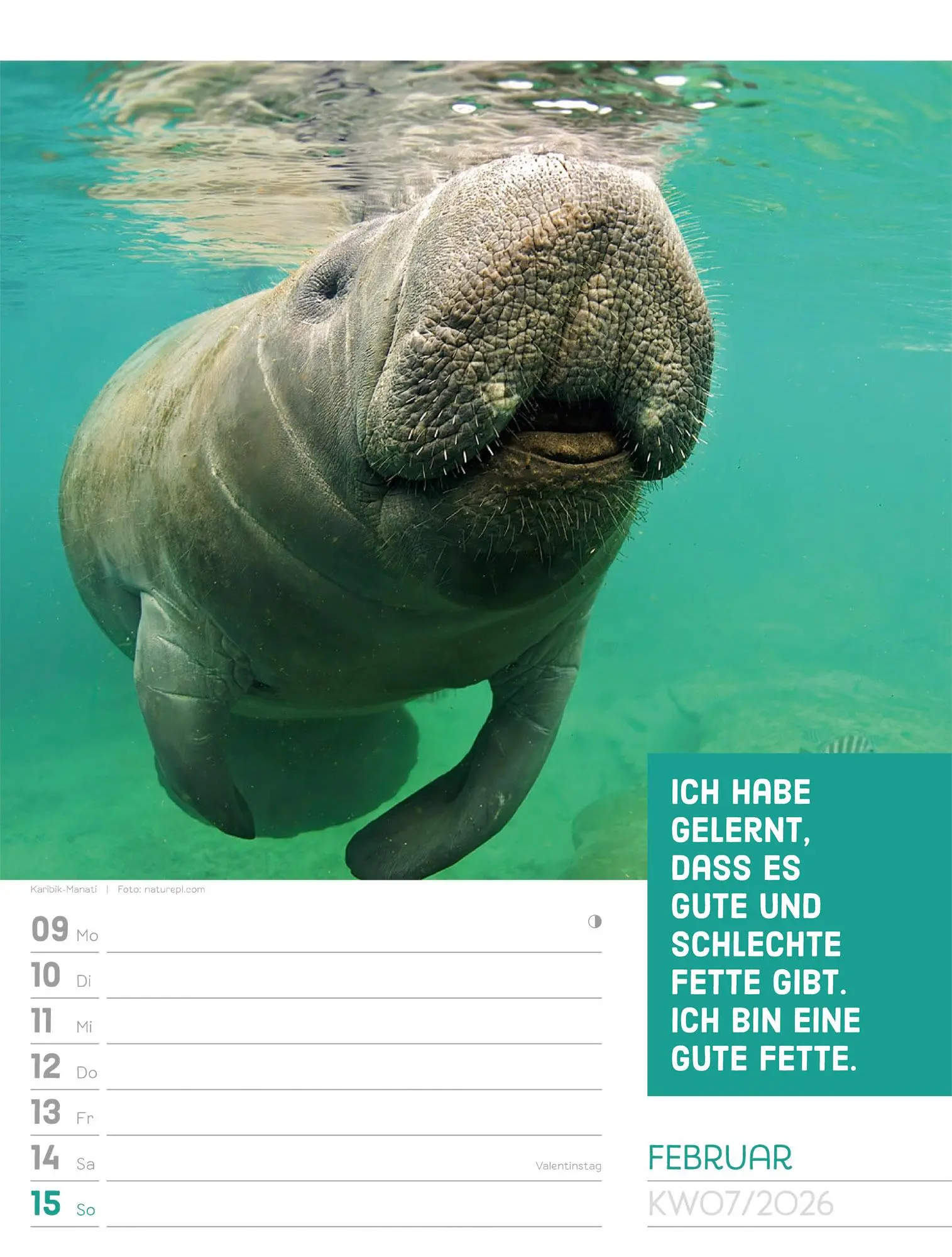 Bild: 9783838426969 | Tierisch! Sprüchekalender - Wochenplaner Kalender 2026 | GmbH | 56 S.