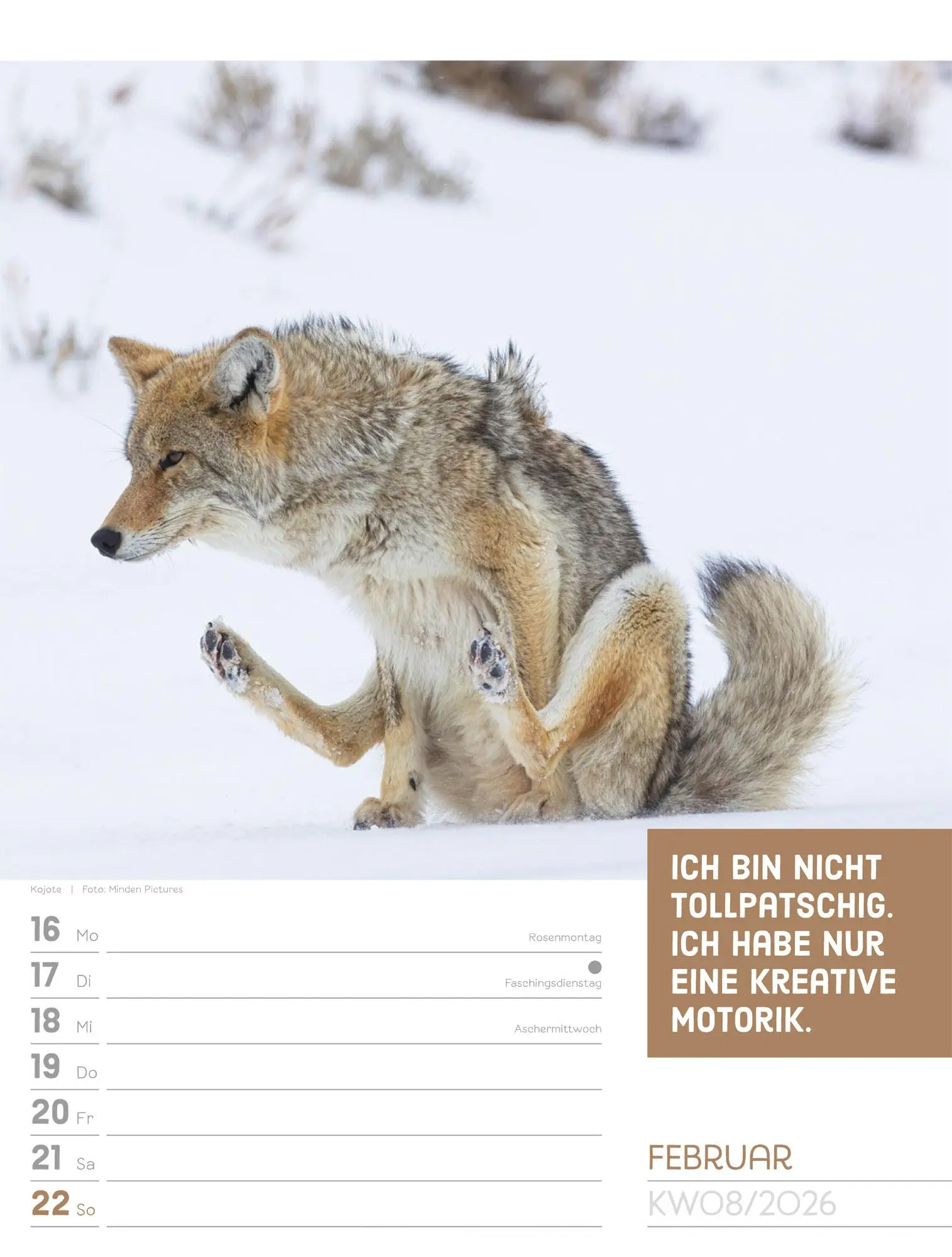 Bild: 9783838426969 | Tierisch! Sprüchekalender - Wochenplaner Kalender 2026 | GmbH | 56 S.