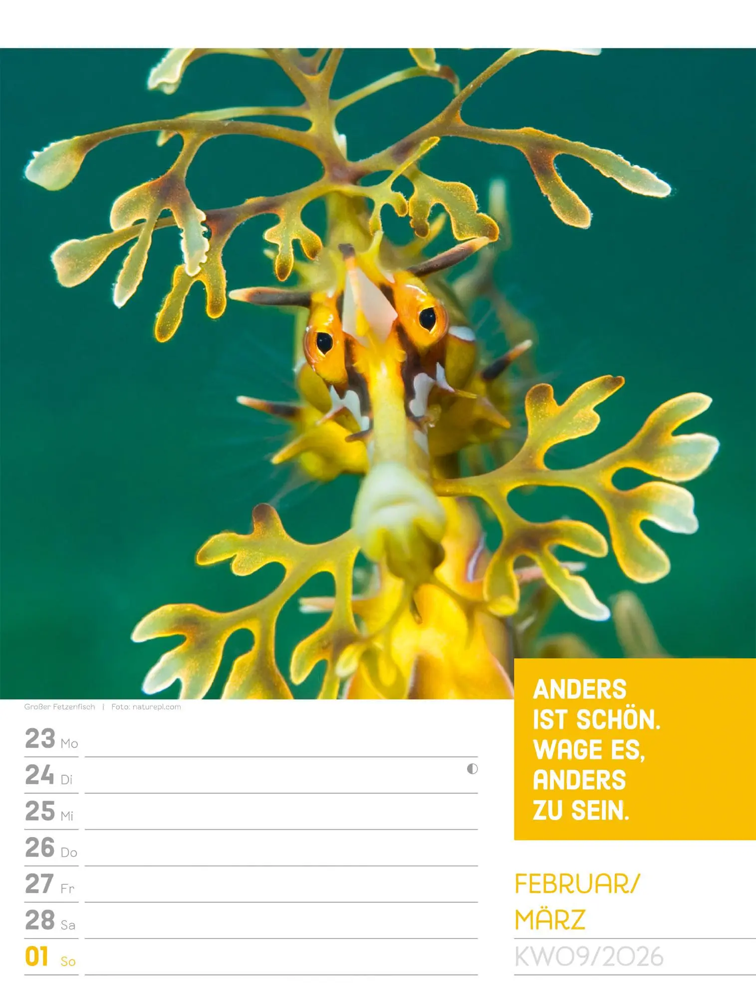 Bild: 9783838426969 | Tierisch! Sprüchekalender - Wochenplaner Kalender 2026 | GmbH | 56 S.