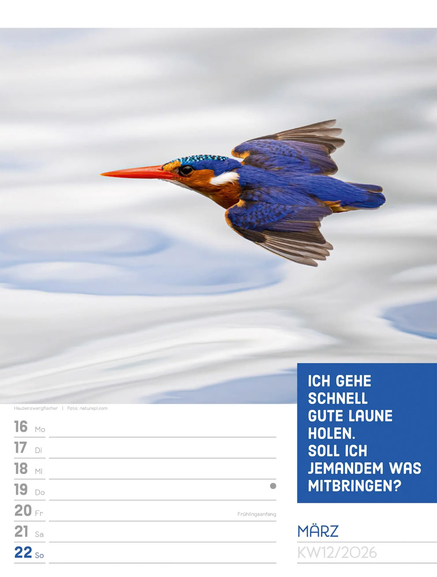 Bild: 9783838426969 | Tierisch! Sprüchekalender - Wochenplaner Kalender 2026 | GmbH | 56 S.