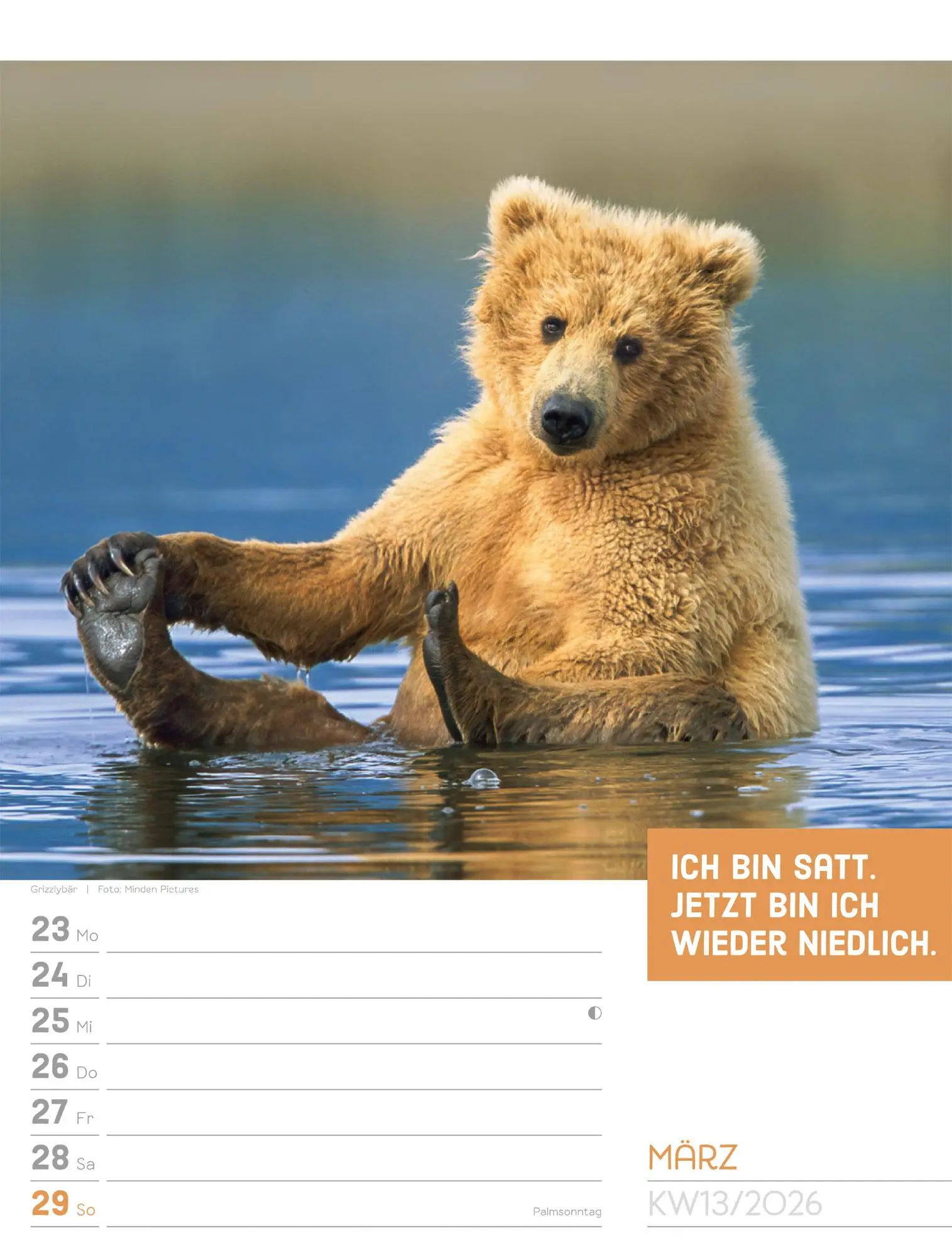 Bild: 9783838426969 | Tierisch! Sprüchekalender - Wochenplaner Kalender 2026 | GmbH | 56 S.