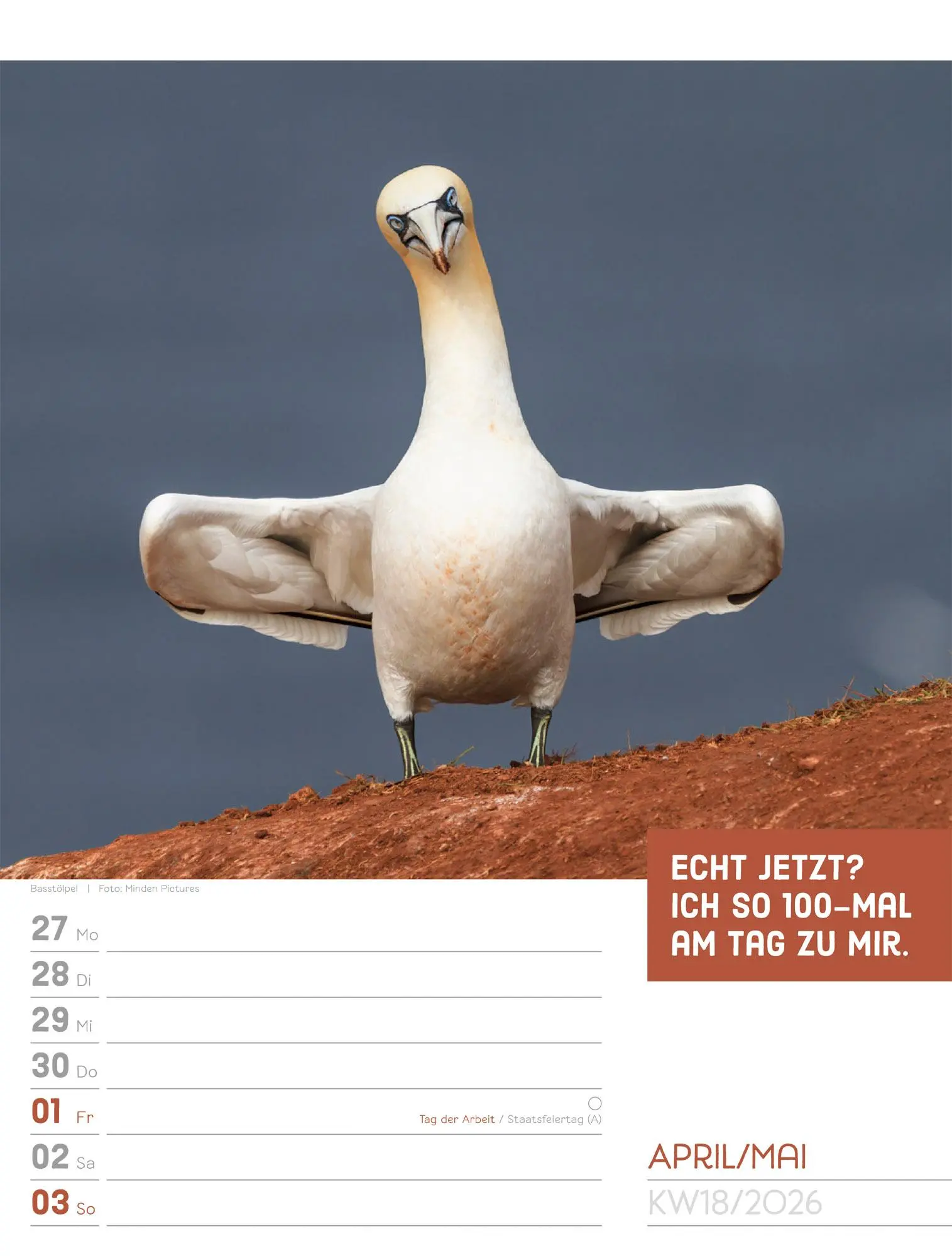 Bild: 9783838426969 | Tierisch! Sprüchekalender - Wochenplaner Kalender 2026 | GmbH | 56 S.