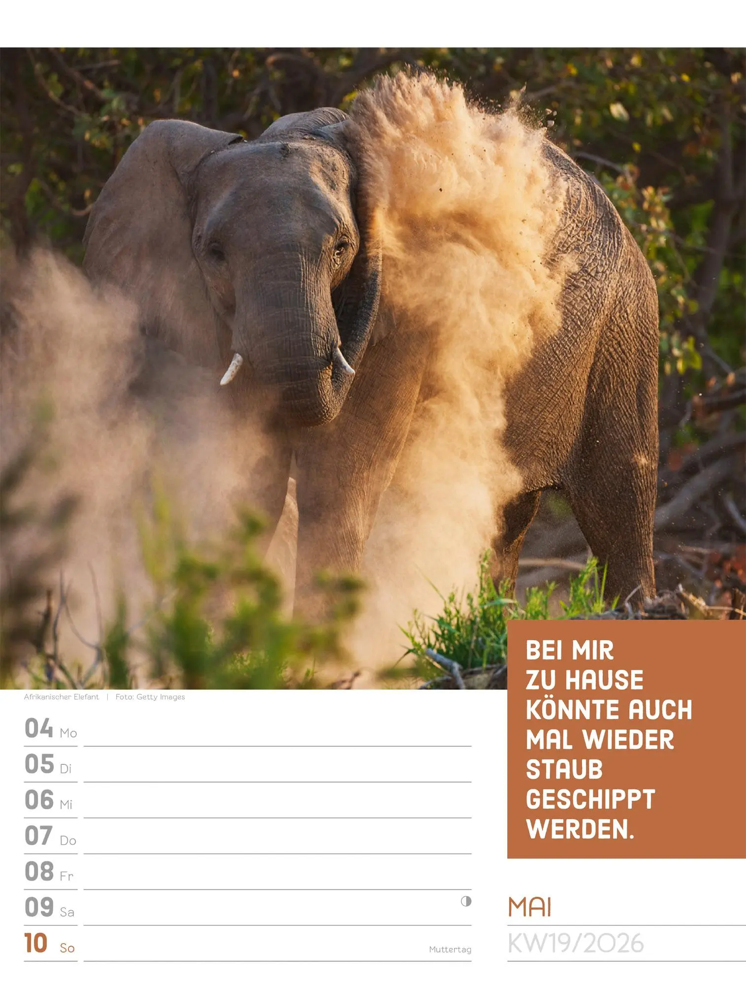 Bild: 9783838426969 | Tierisch! Sprüchekalender - Wochenplaner Kalender 2026 | GmbH | 56 S.