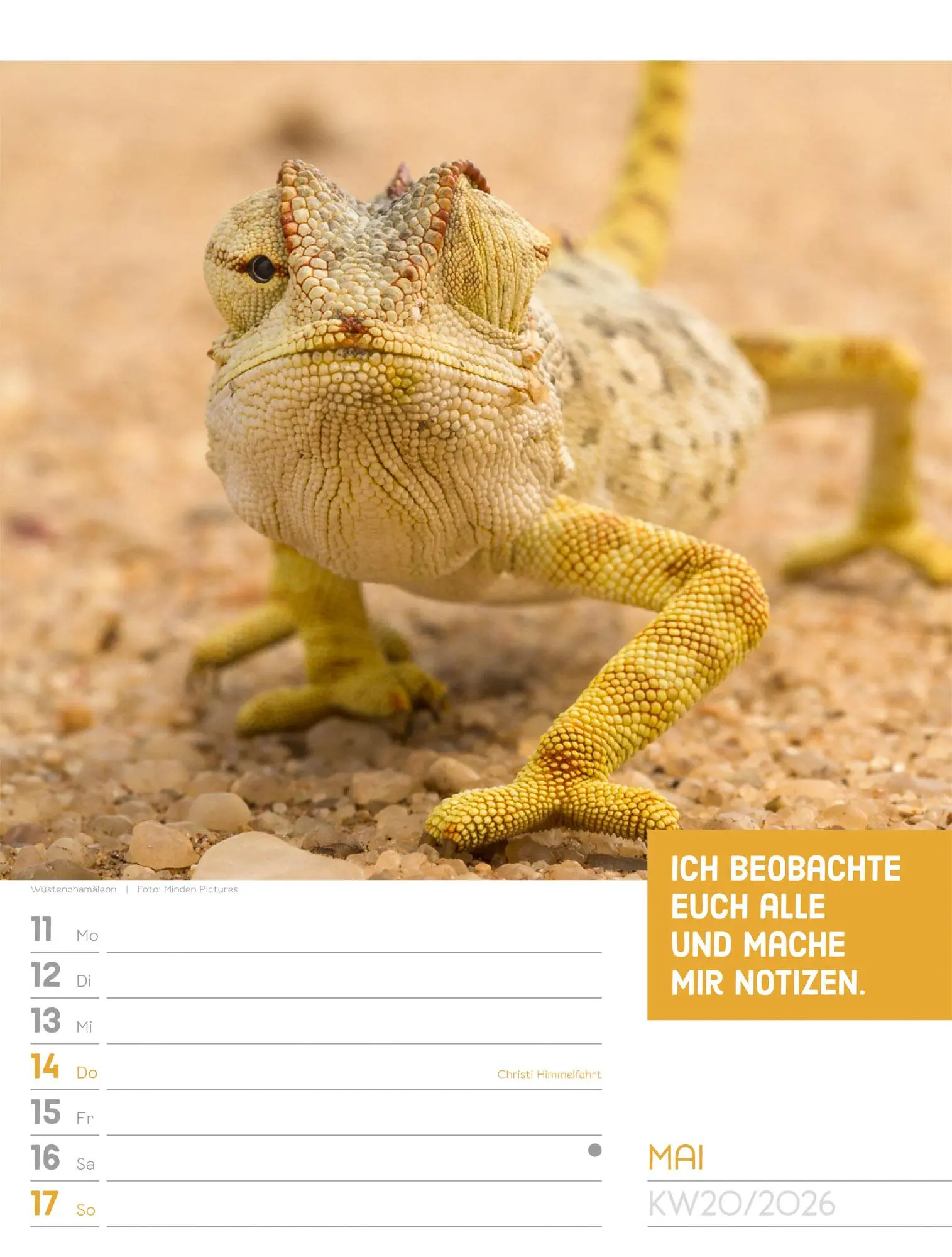 Bild: 9783838426969 | Tierisch! Sprüchekalender - Wochenplaner Kalender 2026 | GmbH | 56 S.