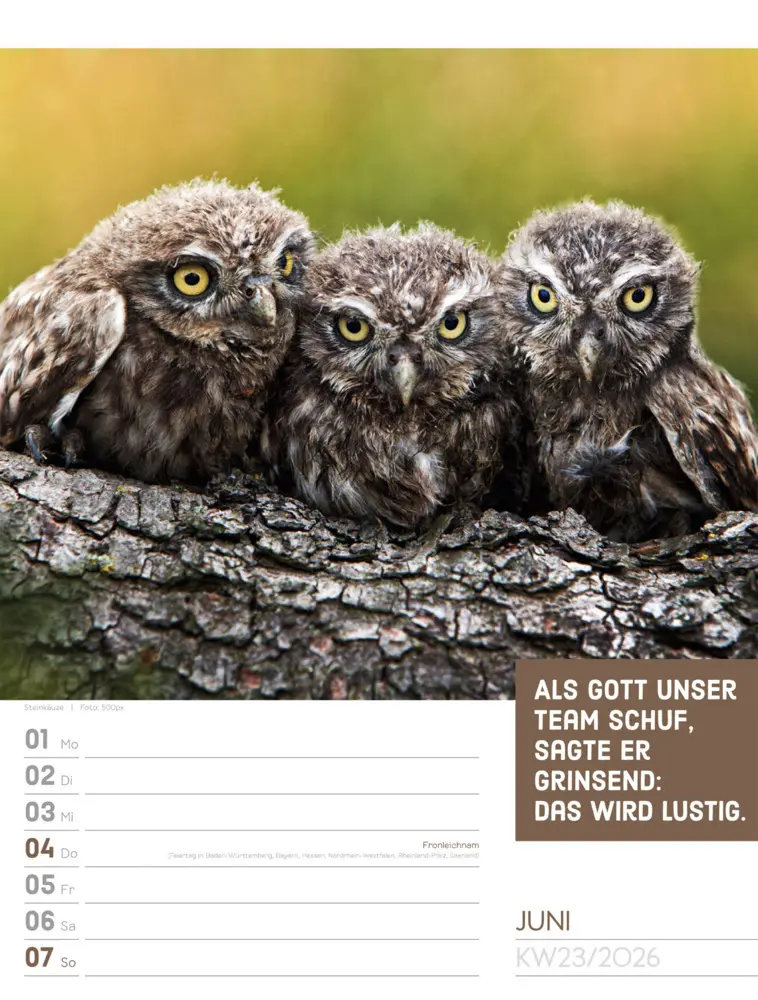 Bild: 9783838426969 | Tierisch Sprüchekalender Wochenplaner 2026 | GmbH | Kalender | Deutsch