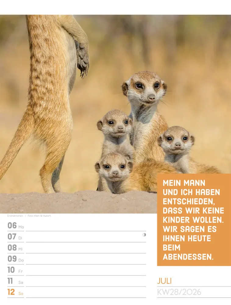 Bild: 9783838426969 | Tierisch Sprüchekalender Wochenplaner 2026 | GmbH | Kalender | Deutsch