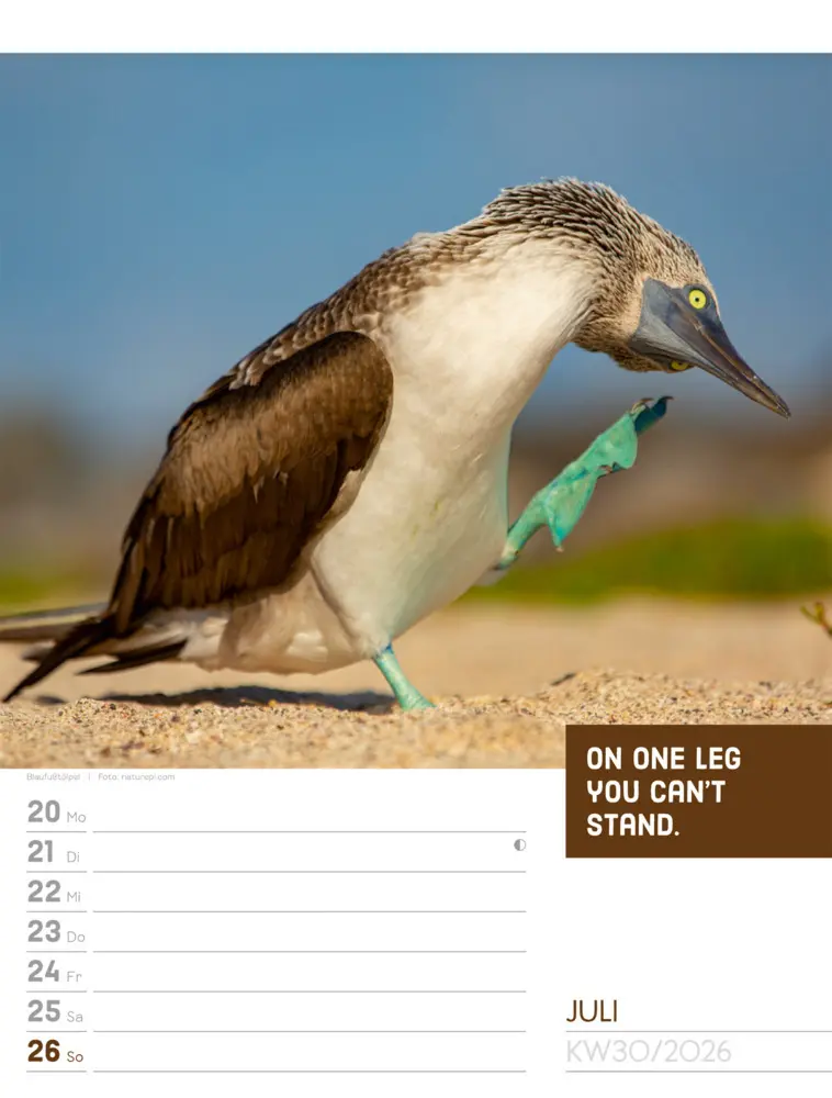 Bild: 9783838426969 | Tierisch Sprüchekalender Wochenplaner 2026 | GmbH | Kalender | Deutsch