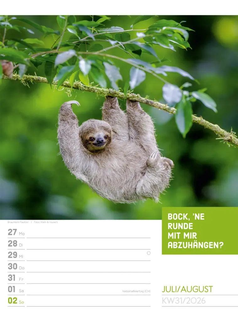 Bild: 9783838426969 | Tierisch Sprüchekalender Wochenplaner 2026 | GmbH | Kalender | Deutsch