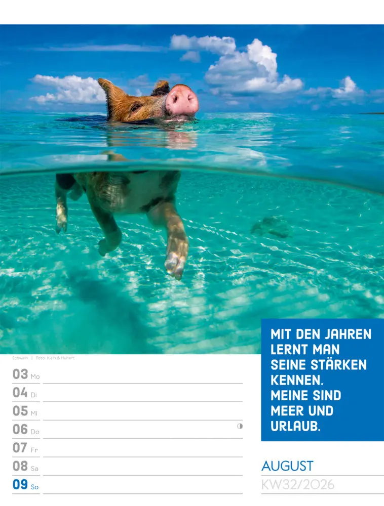Bild: 9783838426969 | Tierisch Sprüchekalender Wochenplaner 2026 | GmbH | Kalender | Deutsch