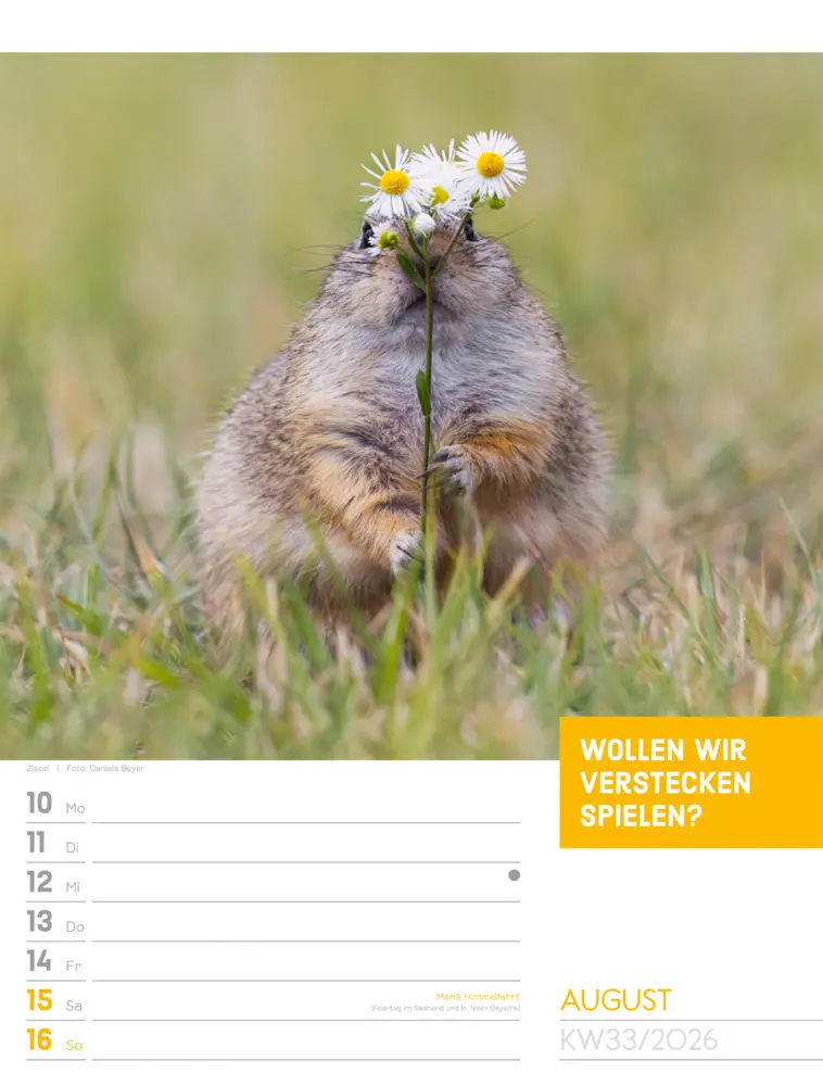 Bild: 9783838426969 | Tierisch Sprüchekalender Wochenplaner 2026 | GmbH | Kalender | Deutsch