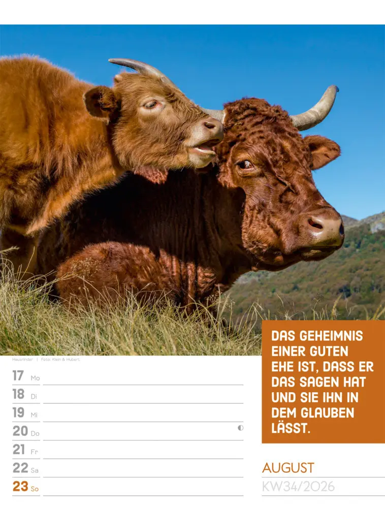 Bild: 9783838426969 | Tierisch Sprüchekalender Wochenplaner 2026 | GmbH | Kalender | Deutsch
