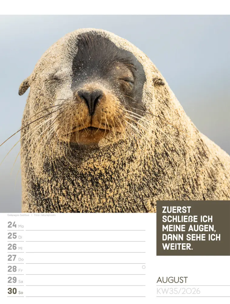 Bild: 9783838426969 | Tierisch Sprüchekalender Wochenplaner 2026 | GmbH | Kalender | Deutsch