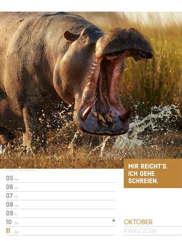 Bild: 9783838426969 | Tierisch Sprüchekalender Wochenplaner 2026 | GmbH | Kalender | Deutsch
