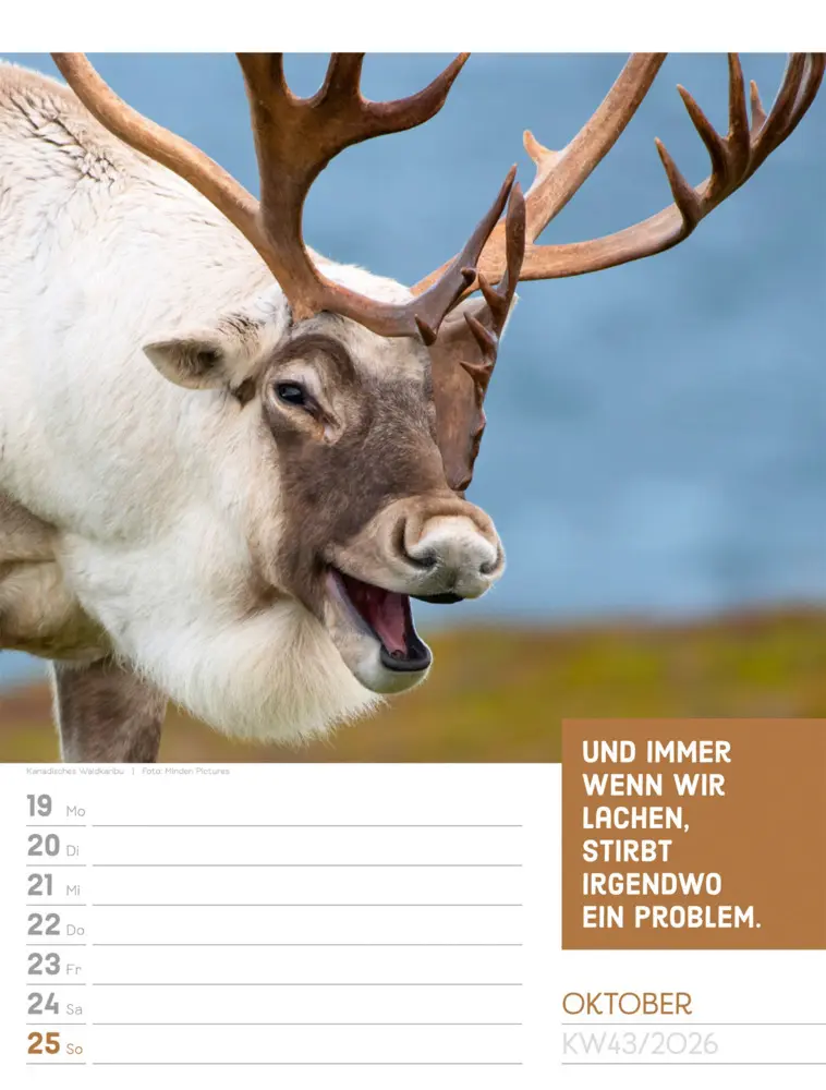 Bild: 9783838426969 | Tierisch Sprüchekalender Wochenplaner 2026 | GmbH | Kalender | Deutsch