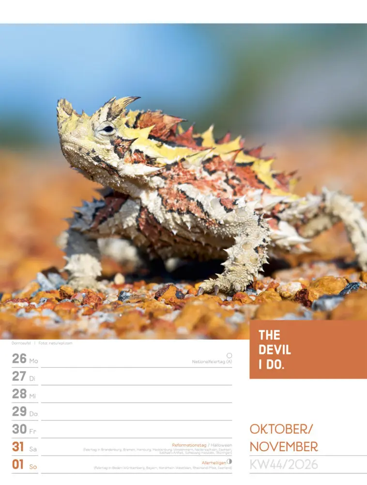 Bild: 9783838426969 | Tierisch Sprüchekalender Wochenplaner 2026 | GmbH | Kalender | Deutsch