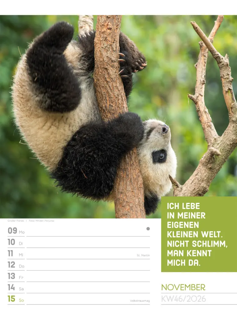 Bild: 9783838426969 | Tierisch Sprüchekalender Wochenplaner 2026 | GmbH | Kalender | Deutsch
