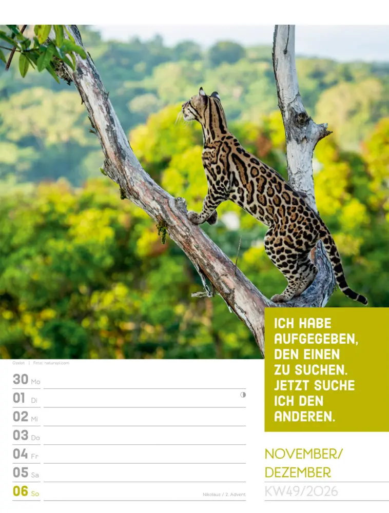 Bild: 9783838426969 | Tierisch Sprüchekalender Wochenplaner 2026 | GmbH | Kalender | Deutsch
