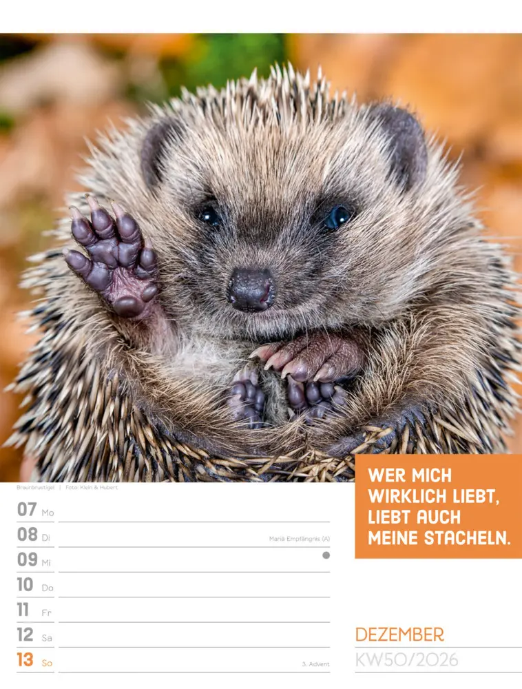 Bild: 9783838426969 | Tierisch Sprüchekalender Wochenplaner 2026 | GmbH | Kalender | Deutsch