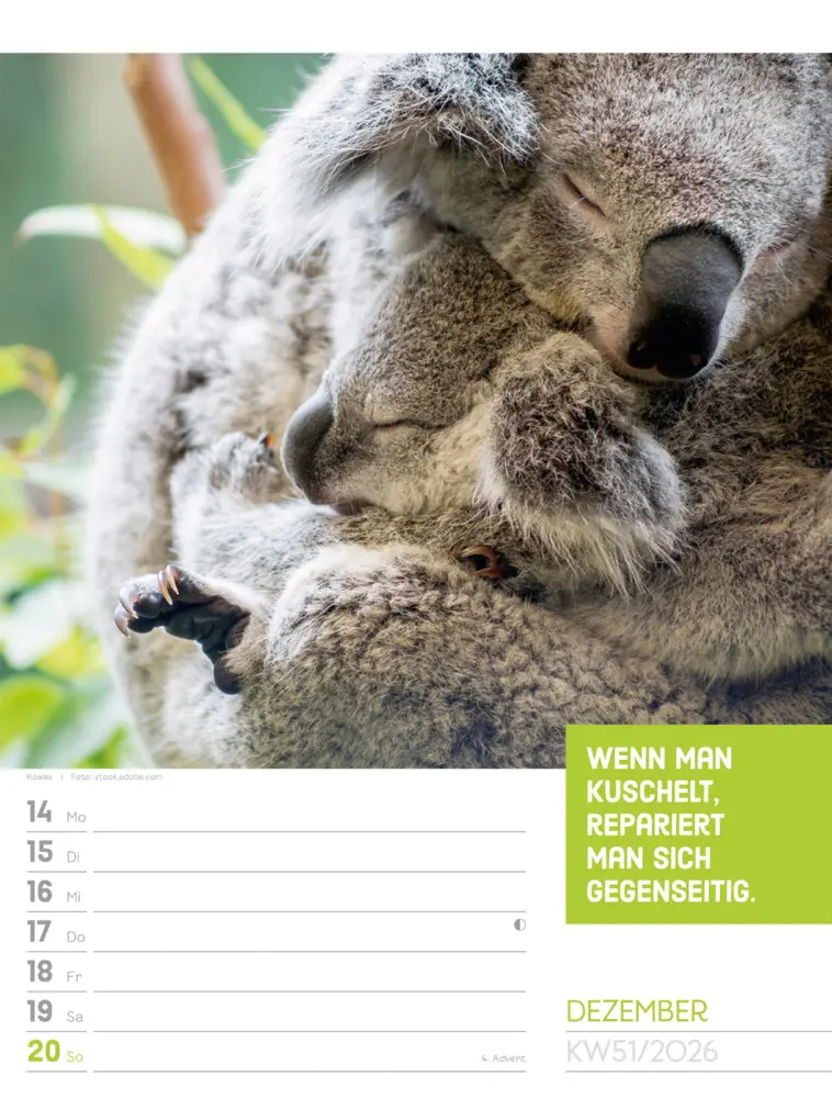 Bild: 9783838426969 | Tierisch Sprüchekalender Wochenplaner 2026 | GmbH | Kalender | Deutsch