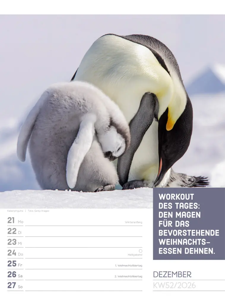 Bild: 9783838426969 | Tierisch Sprüchekalender Wochenplaner 2026 | GmbH | Kalender | Deutsch
