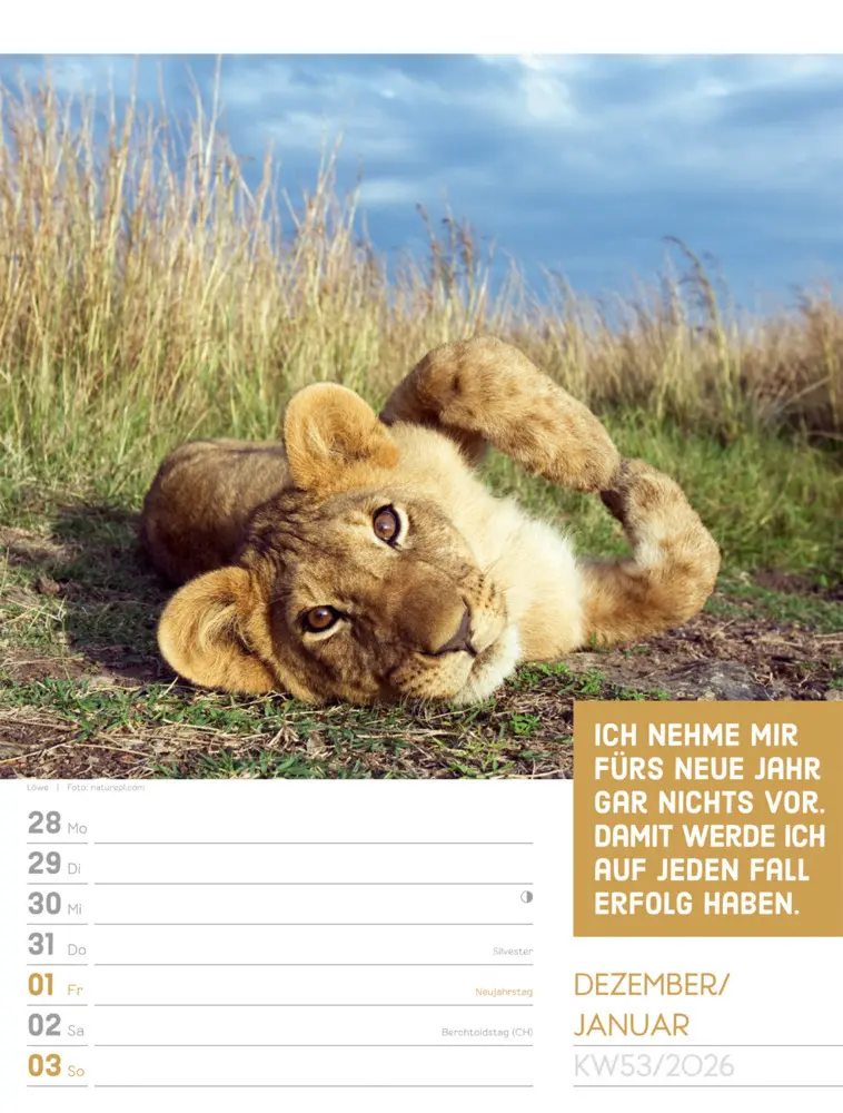 Bild: 9783838426969 | Tierisch Sprüchekalender Wochenplaner 2026 | GmbH | Kalender | Deutsch