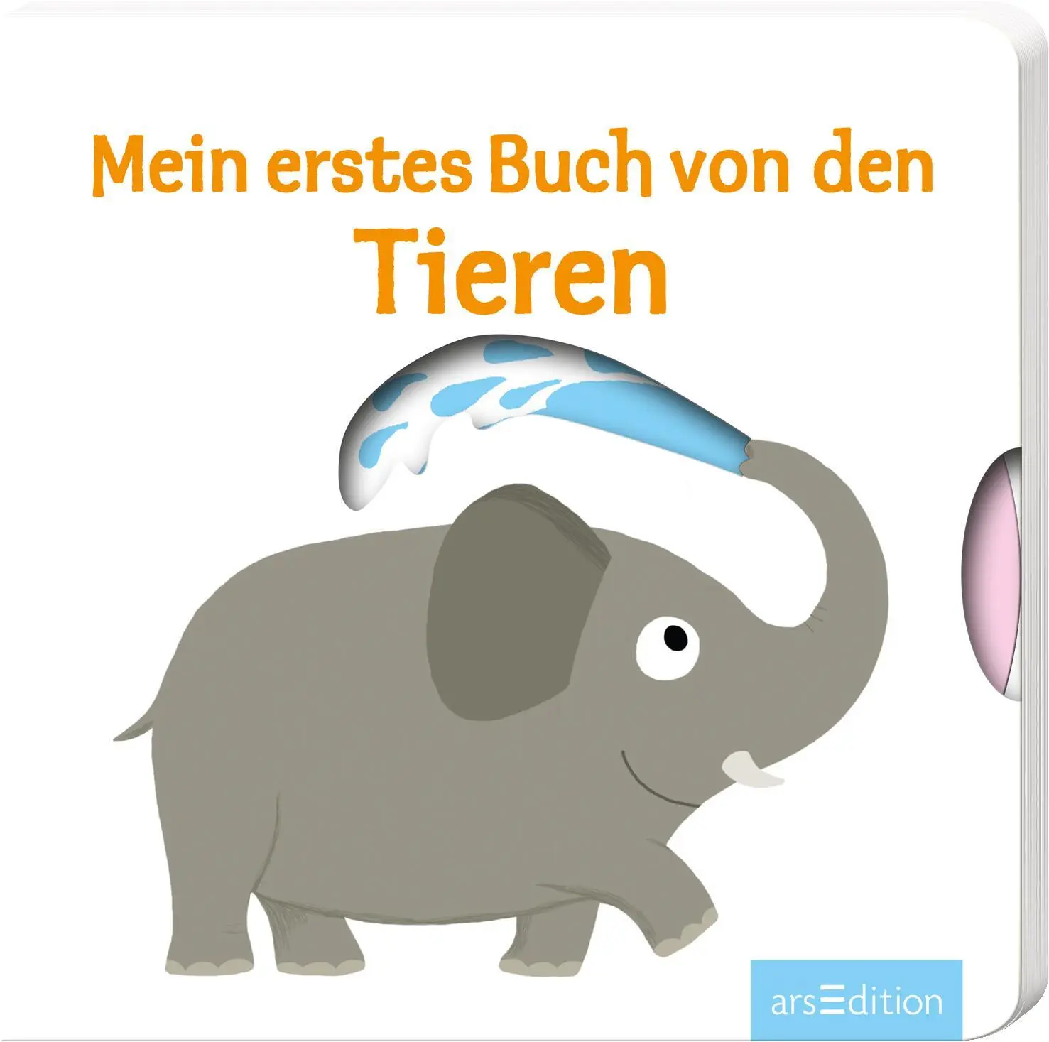 Cover: 9783845806969 | Mein erstes Buch von den Tieren | Nathalie Choux | Buch | 12 S. | 2014