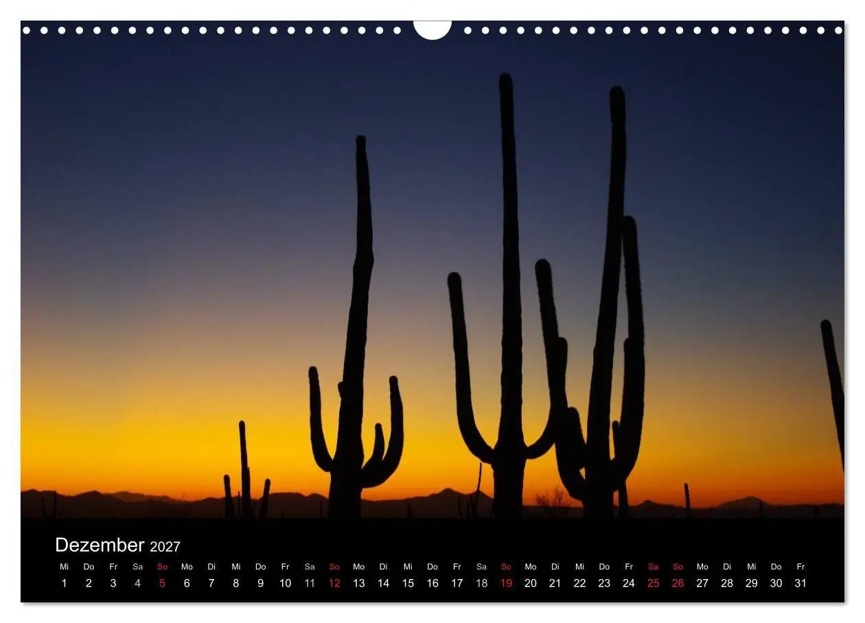 Bild: 9783594237069 | Wild beauty of Arizona (Wandkalender 2027 DIN A3 quer), CALVENDO...