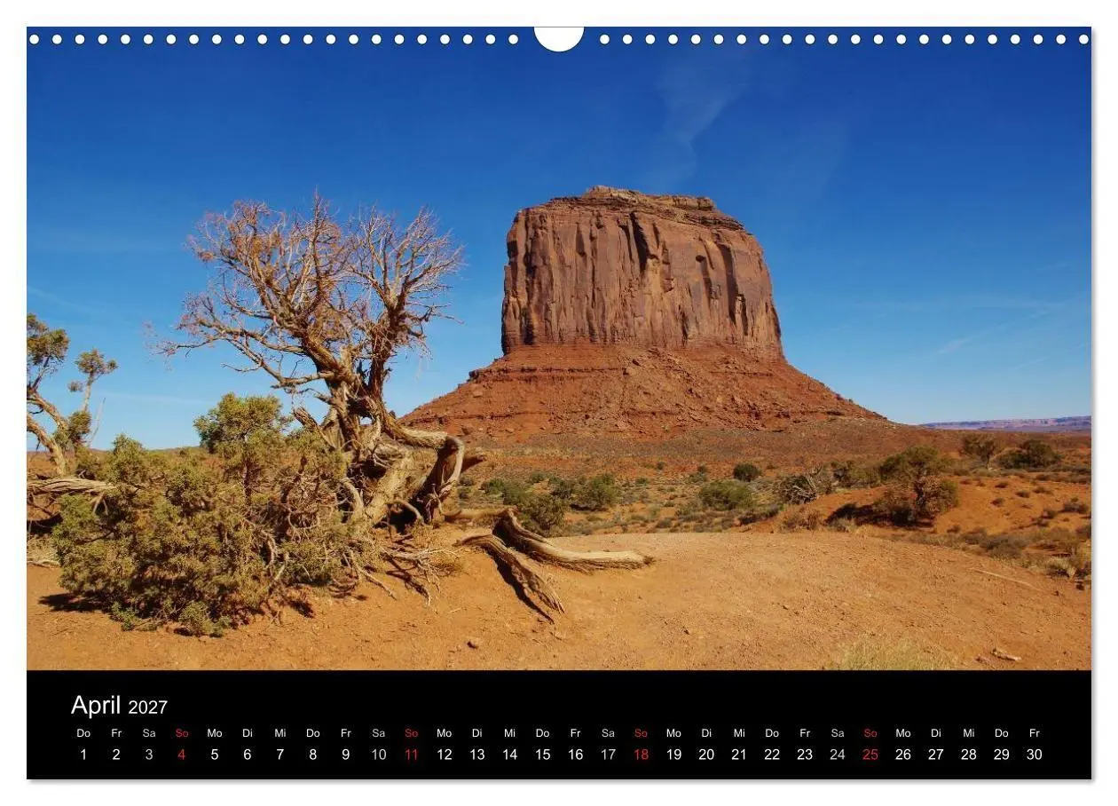 Bild: 9783594237069 | Wild beauty of Arizona (Wandkalender 2027 DIN A3 quer), CALVENDO...