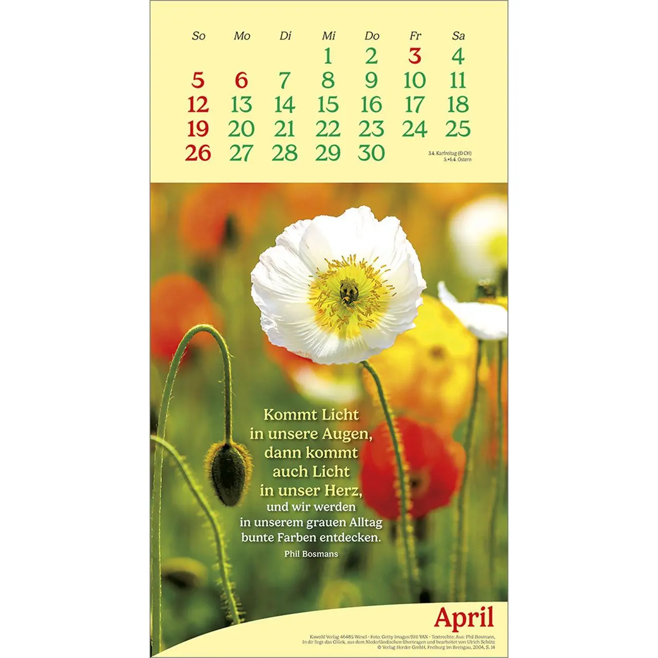 Bild: 9783754857069 | Vitamine fürs Herz 2026 | Phil-Bosmans-Kalender | Phil Bosmans | 14 S.