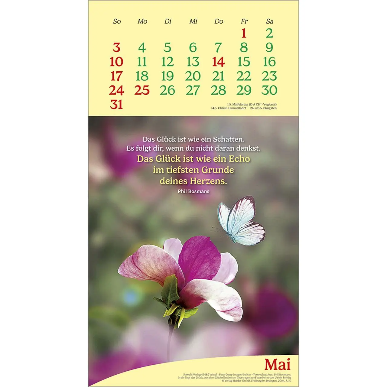 Bild: 9783754857069 | Vitamine fürs Herz 2026 | Phil-Bosmans-Kalender | Phil Bosmans | 14 S.