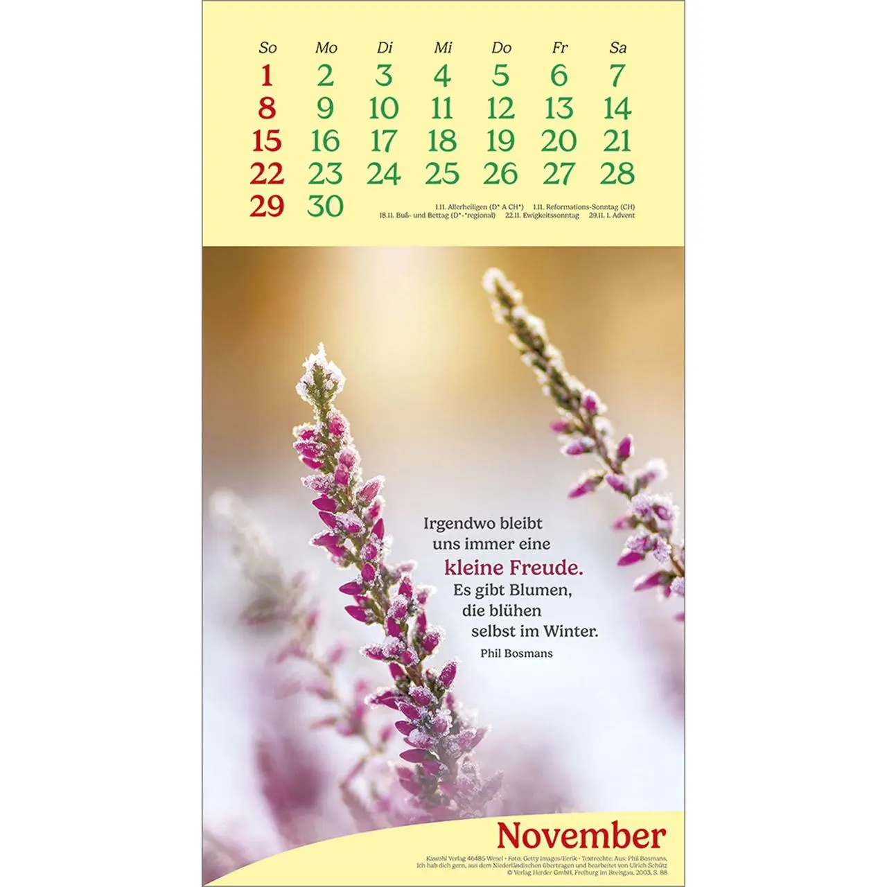 Bild: 9783754857069 | Vitamine fürs Herz 2026 | Phil-Bosmans-Kalender | Phil Bosmans | 14 S.