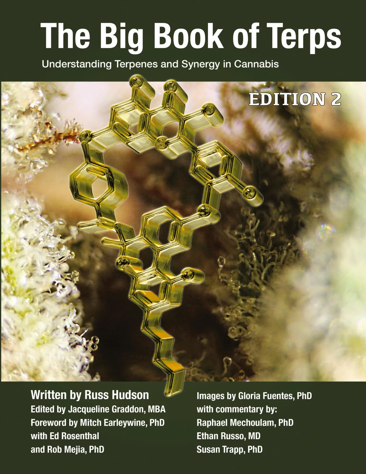 Cover: 9780986357169 | The Big Book of Terps | Understanding Terpenes and Synergy in Cannabis