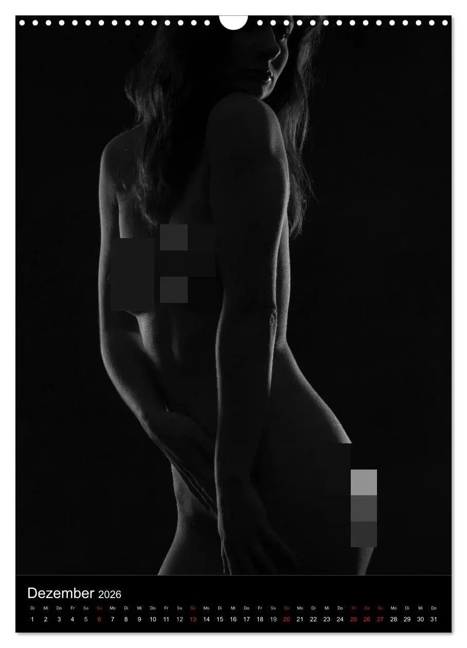 Bild: 9783516487169 | Erotische Silhouetten (Wandkalender 2026 DIN A3 hoch), CALVENDO...
