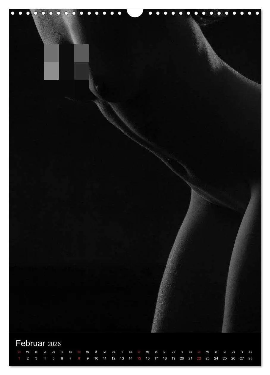 Bild: 9783516487169 | Erotische Silhouetten (Wandkalender 2026 DIN A3 hoch), CALVENDO...