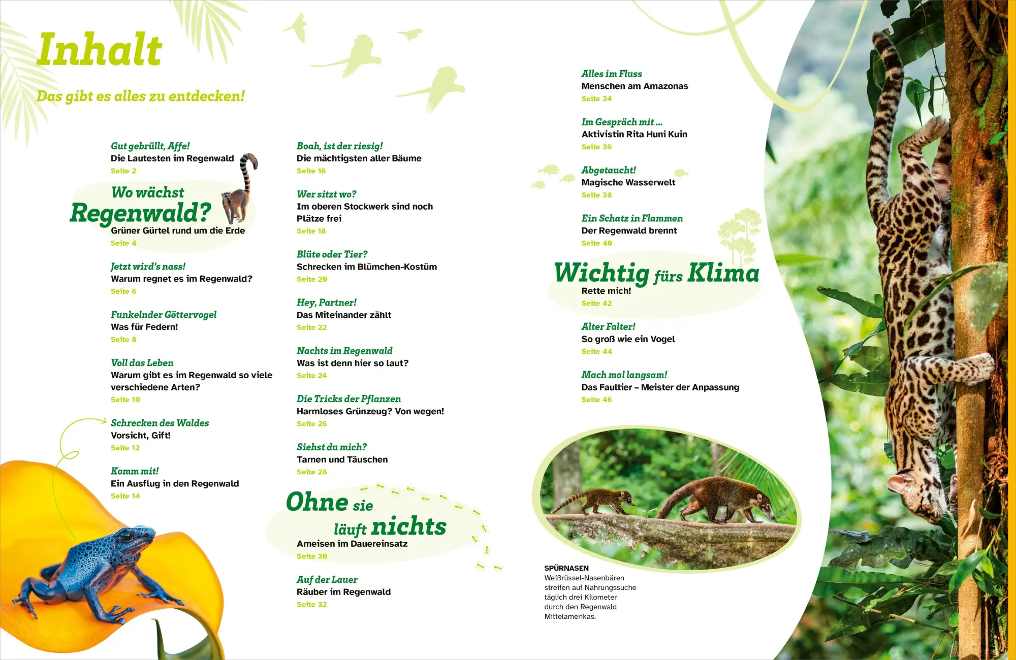 Bild: 9783788677169 | WAS IST WAS Regenwald. Wilde grüne Welt | Alexandra Werdes | Buch