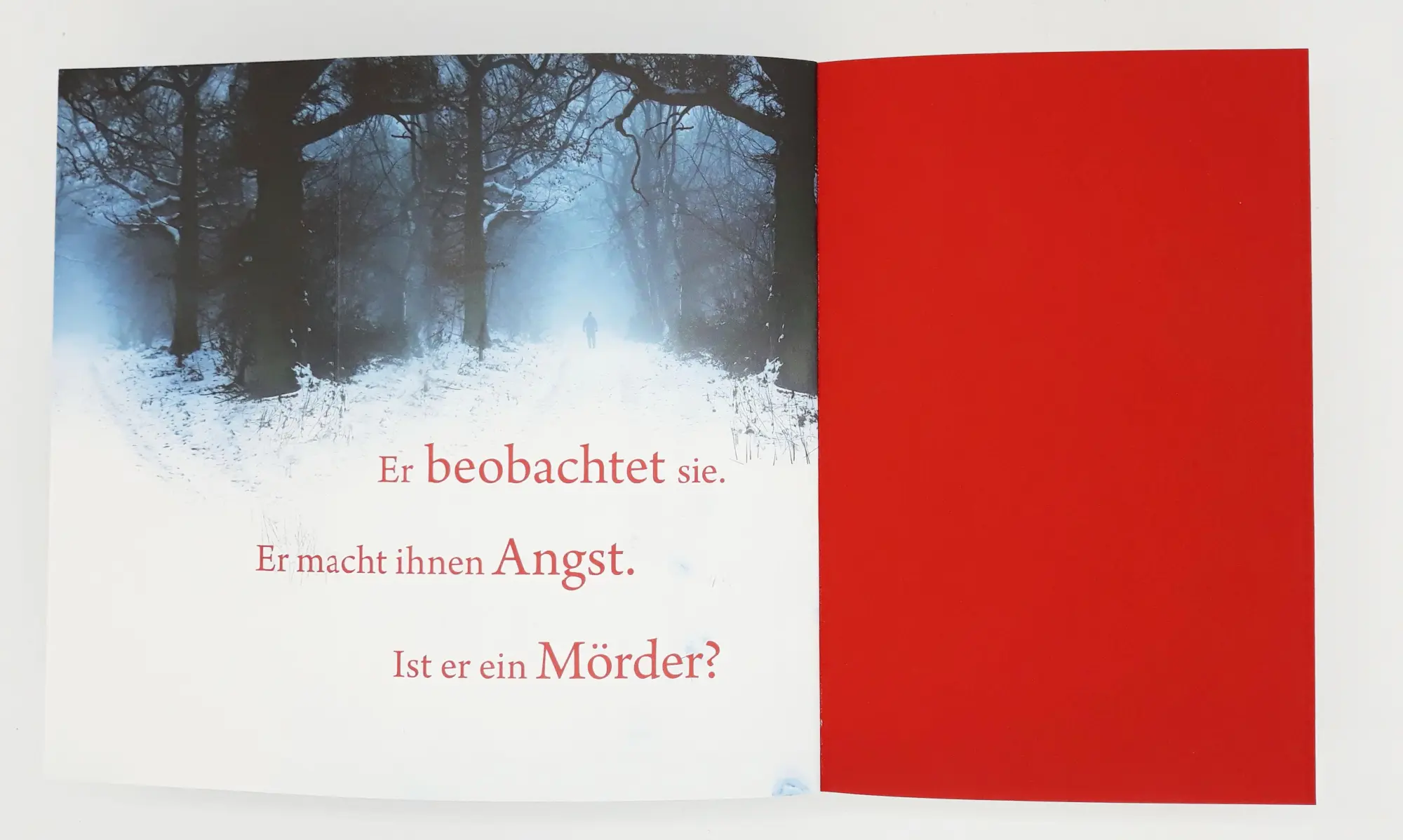 Bild: 9783442367269 | Der Beobachter | Charlotte Link | Taschenbuch | 652 S. | Deutsch