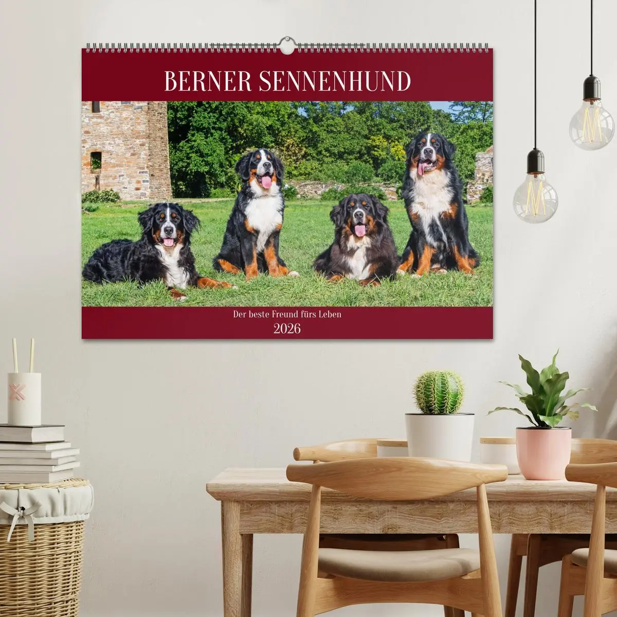 Bild: 9783457387269 | Berner Sennenhund - Der beste Freund fürs Leben (Wandkalender 2026...