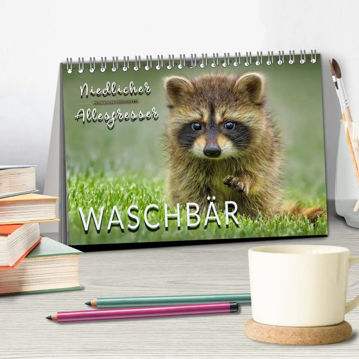 Bild: 9783457837269 | Waschbär - Niedlicher Allesfresser (Tischkalender 2026 DIN A5...