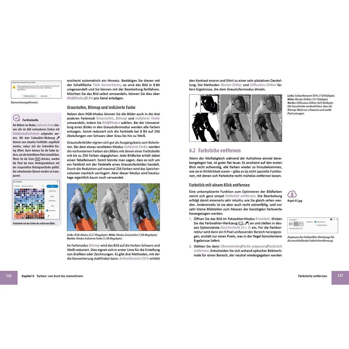 Bild: 9783832807269 | Photoshop Elements 2026 - Das umfangreiche Praxisbuch | Sänger (u. a.)