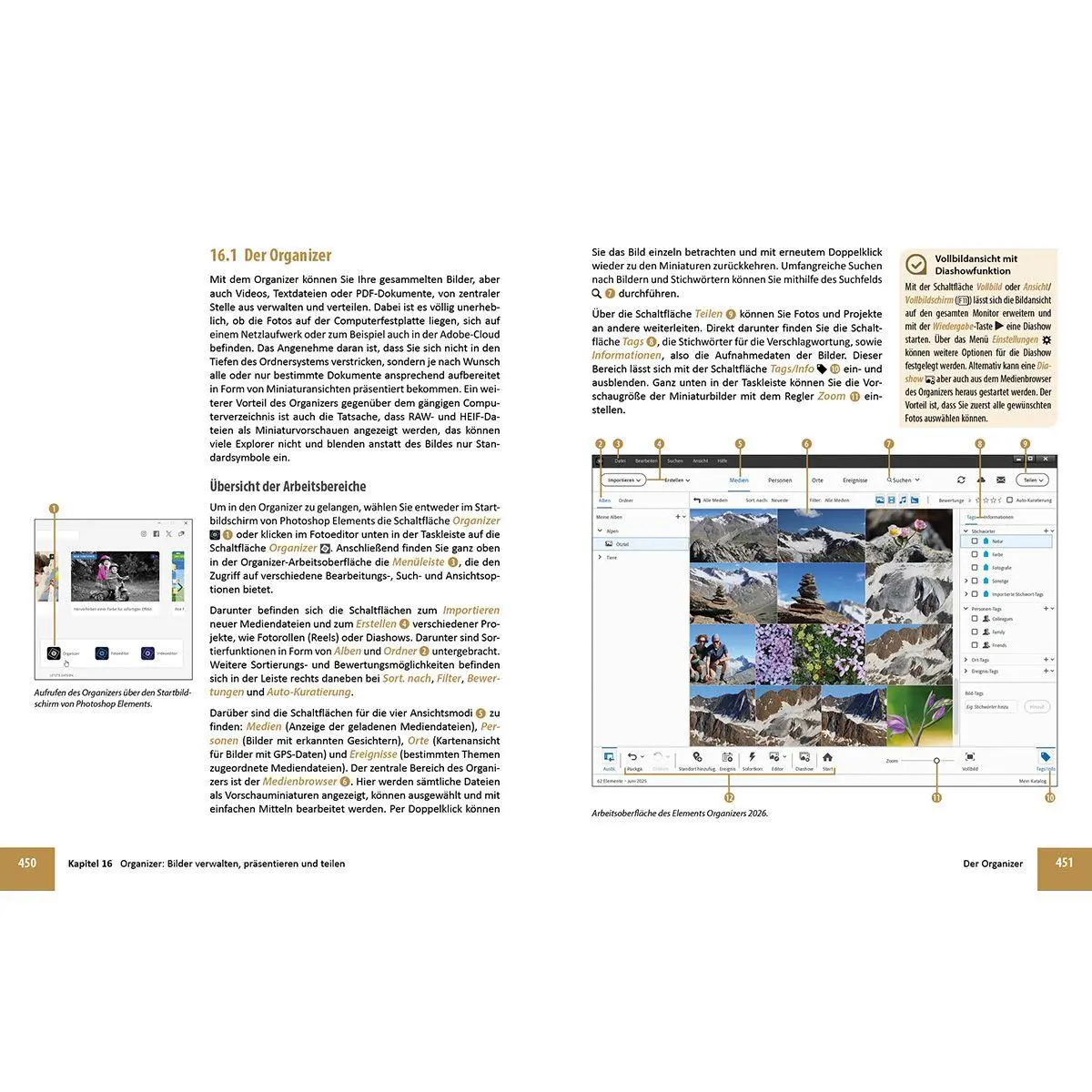 Bild: 9783832807269 | Photoshop Elements 2026 - Das umfangreiche Praxisbuch | Sänger (u. a.)