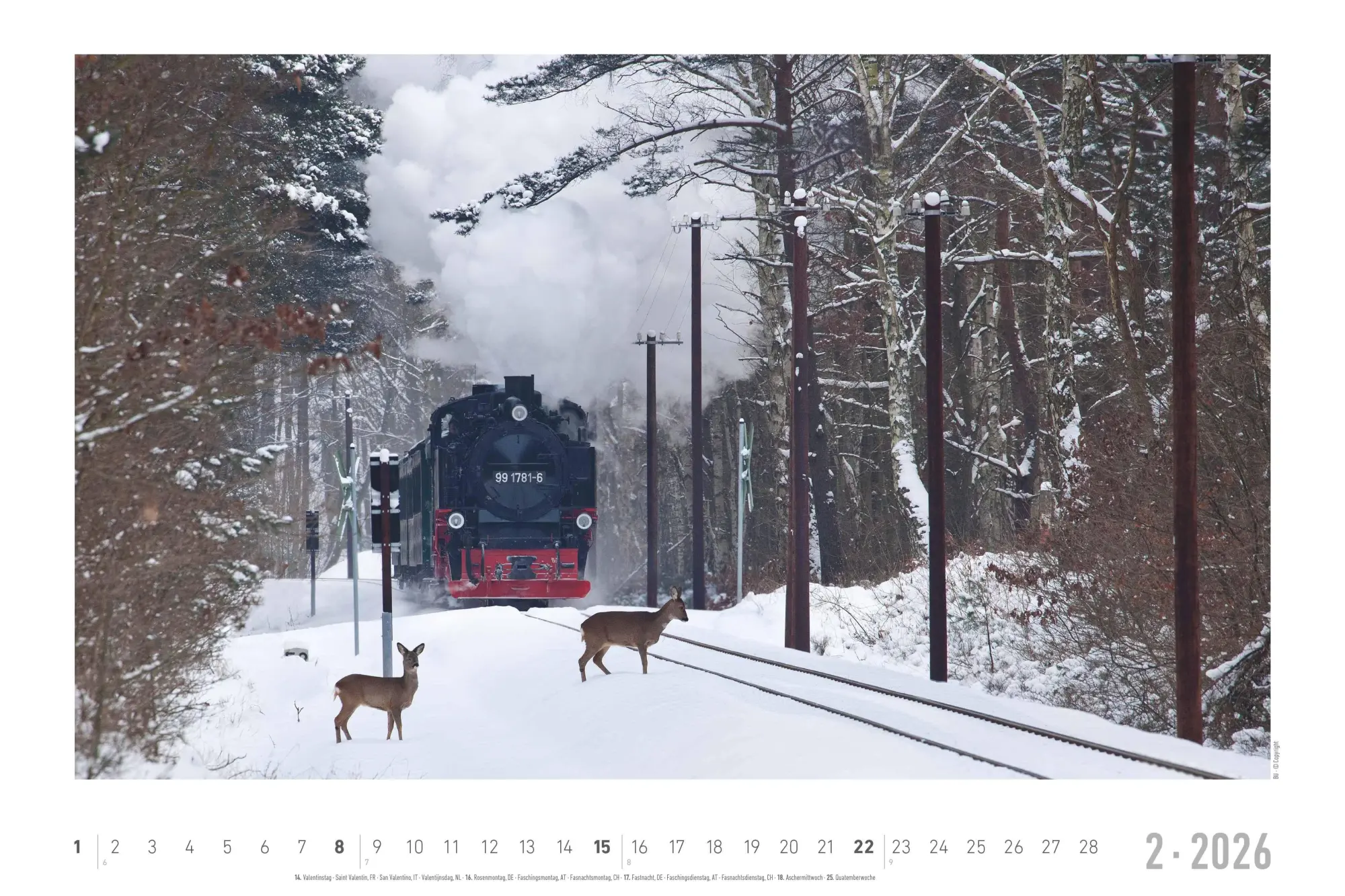 Bild: 4069095007369 | Faszinierende Dampfloks 2026 - Bildkalender 49,5x33 cm | Steam Engines