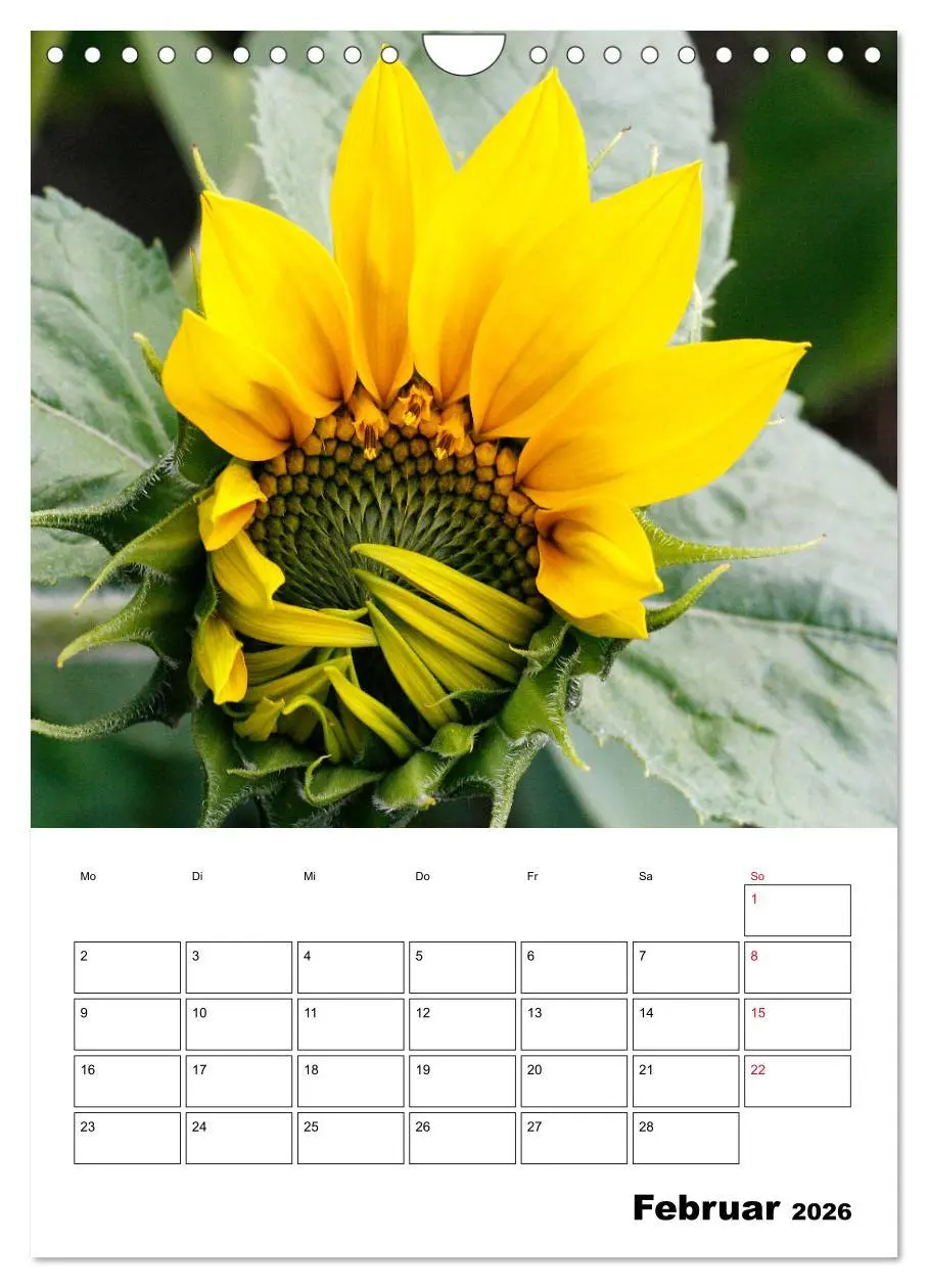 Bild: 9783516397369 | Leuchtende Sonnenblumen (Wandkalender 2026 DIN A4 hoch), CALVENDO...