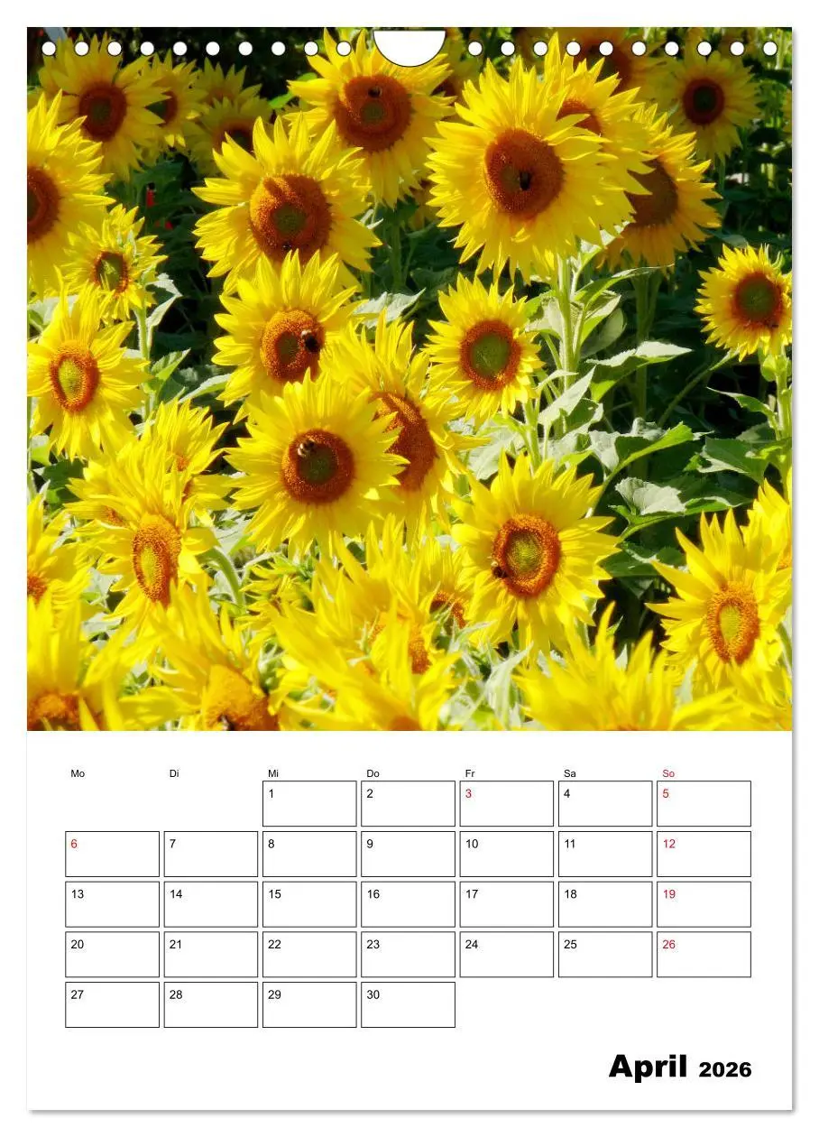 Bild: 9783516397369 | Leuchtende Sonnenblumen (Wandkalender 2026 DIN A4 hoch), CALVENDO...