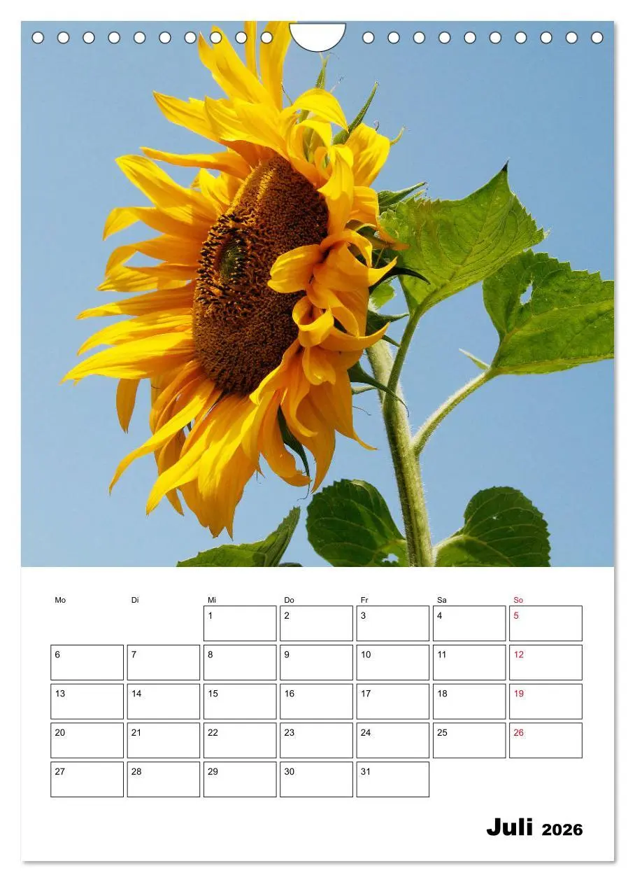 Bild: 9783516397369 | Leuchtende Sonnenblumen (Wandkalender 2026 DIN A4 hoch), CALVENDO...