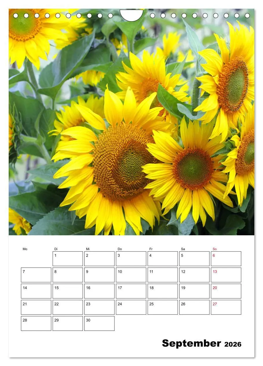 Bild: 9783516397369 | Leuchtende Sonnenblumen (Wandkalender 2026 DIN A4 hoch), CALVENDO...