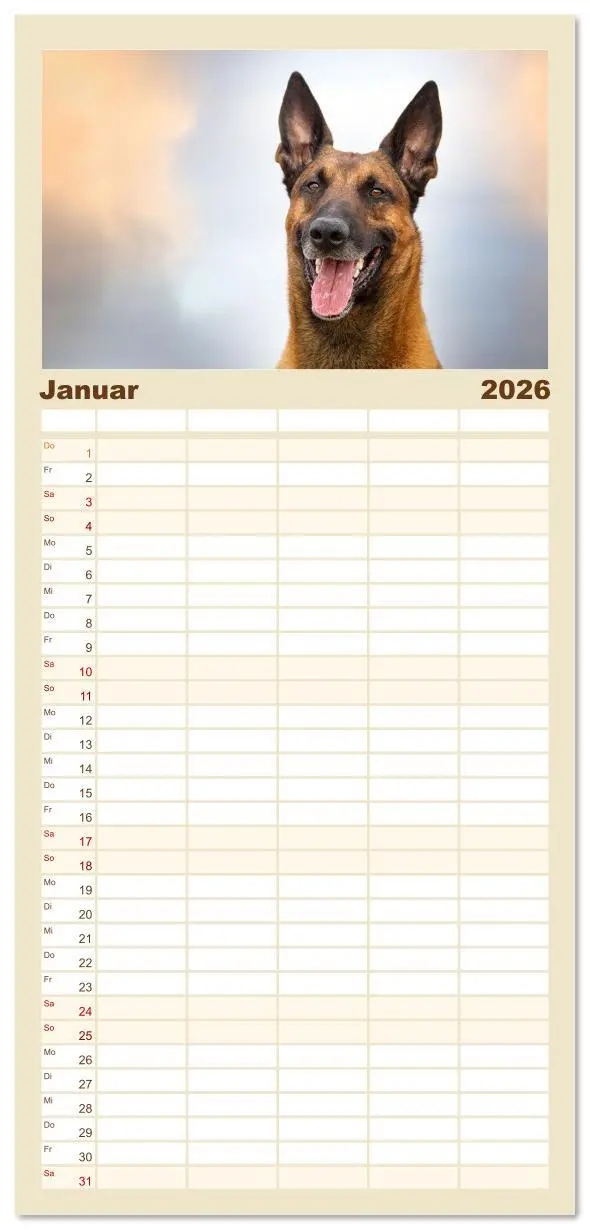 Bild: 9783516607369 | Familienplaner 2026 - Mit dem Malinois durch das Jahr mit 5 Spalten...